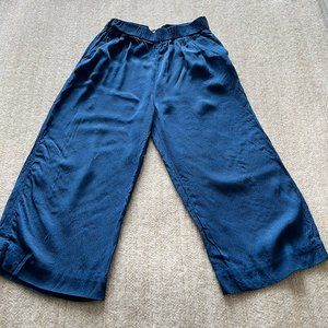 & Other Stories Blue Wide Leg Pants